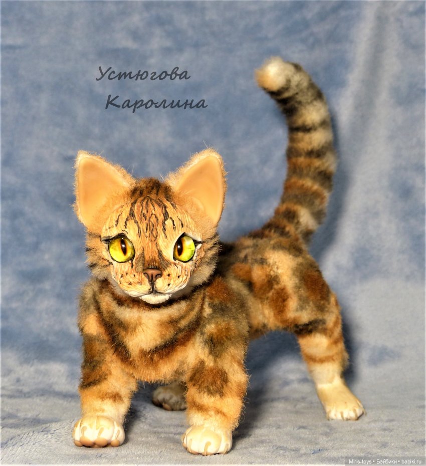 Портретный котик — Игрушки в смешанной технике (мех и глина): Арт (фото 5)