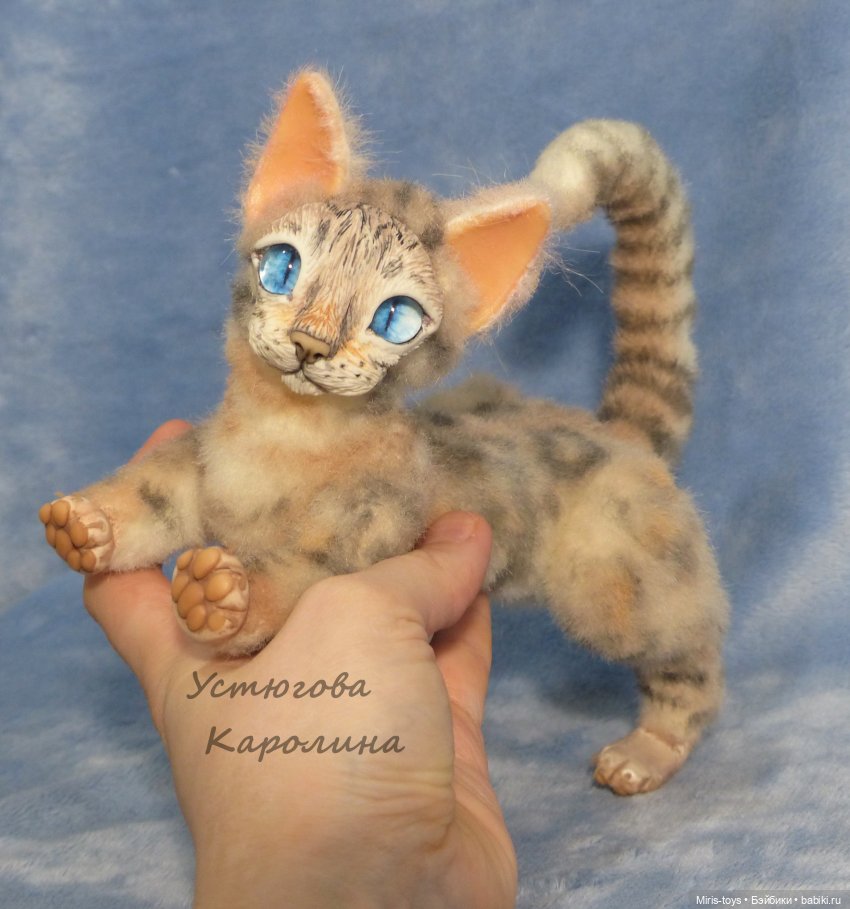 Еще один портретный котик