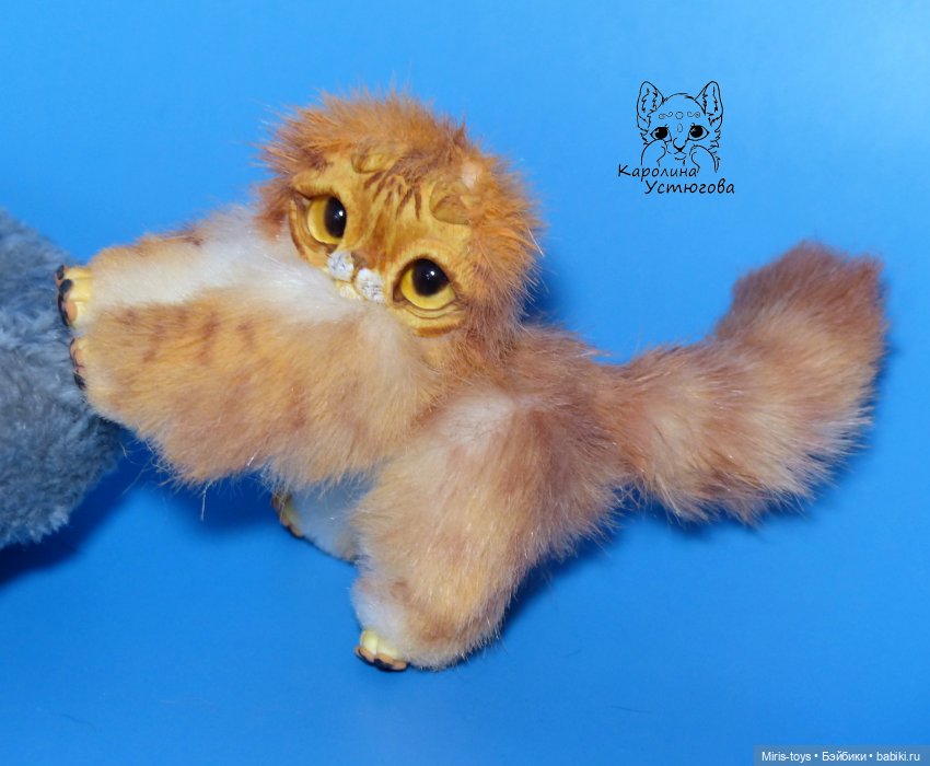 Вислоухий котенок, рыжий табби (фото 4)