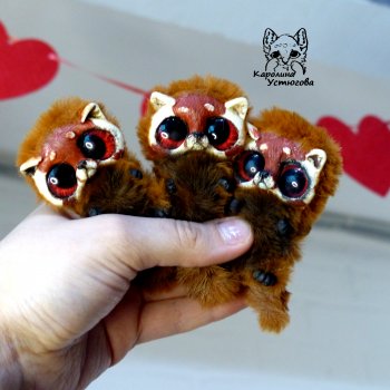 Красные панды