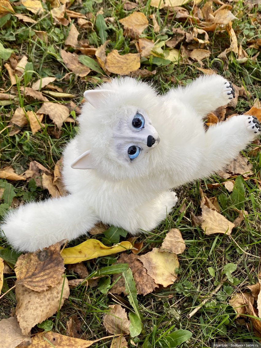 Полярный волчонок на прогулке осенью (фото 6)