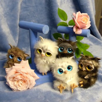 Совята в розах