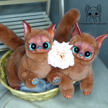 Осенние коты заката