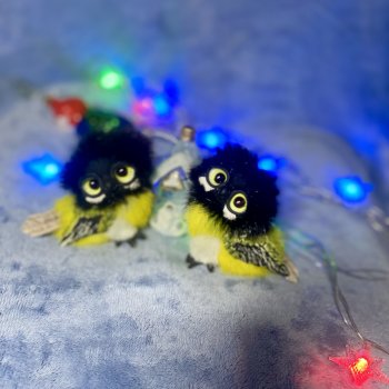 Синички - маленькие птички