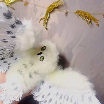 Большая полярная сова