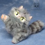 Котенок Шустрик