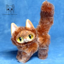 Котенок Абрикосик