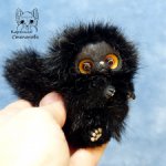 Котенок мини Черный принц