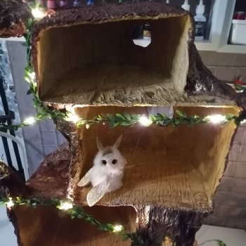 Подготовка к балу кукол ( Красноярск)