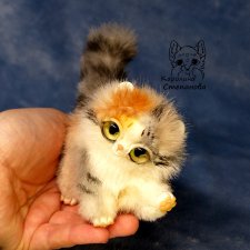 Котенок Керла