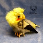 Попугай Корелла