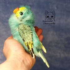 Волнистый попугайчик мятный - желтолиций