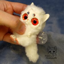 Котокрыл - Котенок с крыльями Беляночка