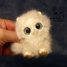 Котенок Белый