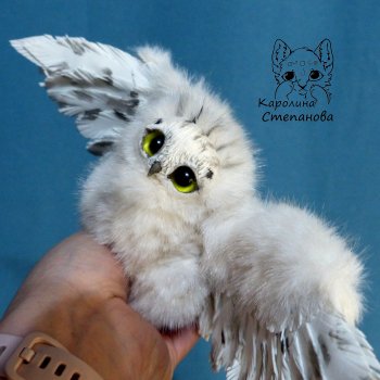 Полярный совенок