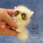 Котенок Енот