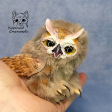 Совенок Ушастой совы