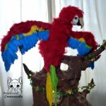 Попугай Ара