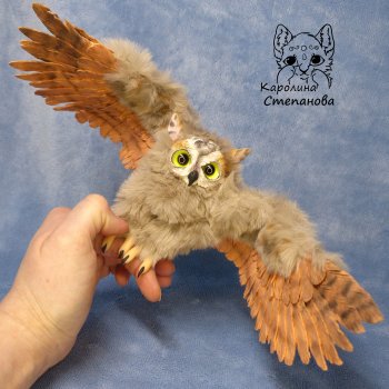 Ушастая Сова