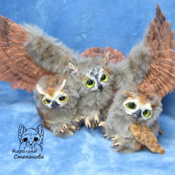 Семья Ушастых сов