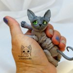 Котенок Сфинкс