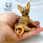 Котенок породы Сфинкс Бимка