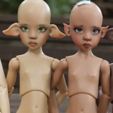 Размеры, лица и цвет тела у Kaye Wiggs