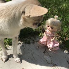 PukiFee Luna осваивается на даче