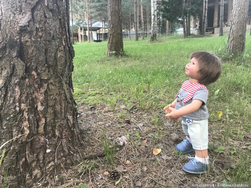 Том гном Том гном
