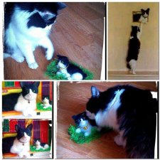 Мои работы с довольными покупателями