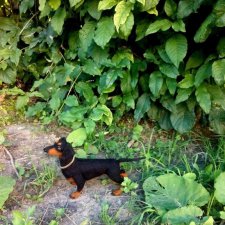 Такса, игрушка ручной работы