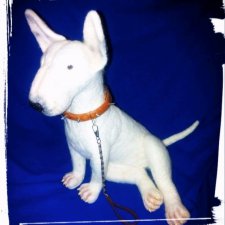 Мои собачки