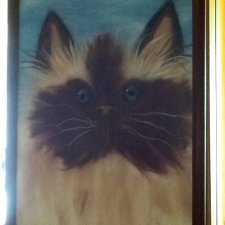 Моя первая картина из шерсти