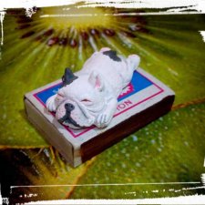 Микро бульдожек