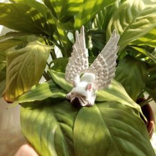 Бульдожек ангелочек