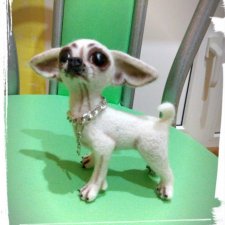 Мои чихуашки