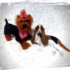 Мои новые работы