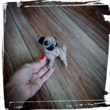 Малыш мопсик