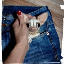 Брошь Чихуашка