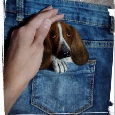 Мои броши из шерсти