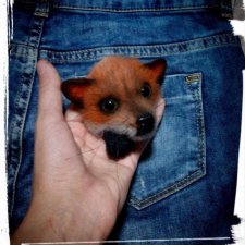 Брошь лисичка