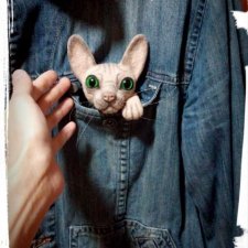 Последняя сфинксоброшь