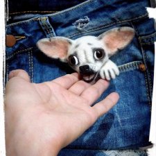 Чихоброшечка