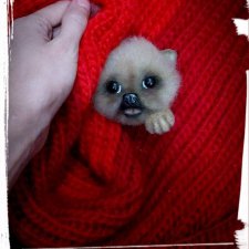 Мои брошечки