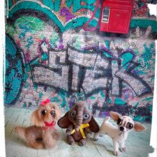 Мой мини зоопарк