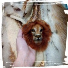 Моя первая Брошь "Лев" и еще один тигренок