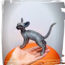 Мои мини сфинксы