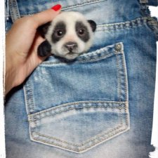 Брошь Панда