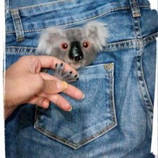 Брошь Коала