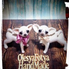 Еще одна чихуахуа